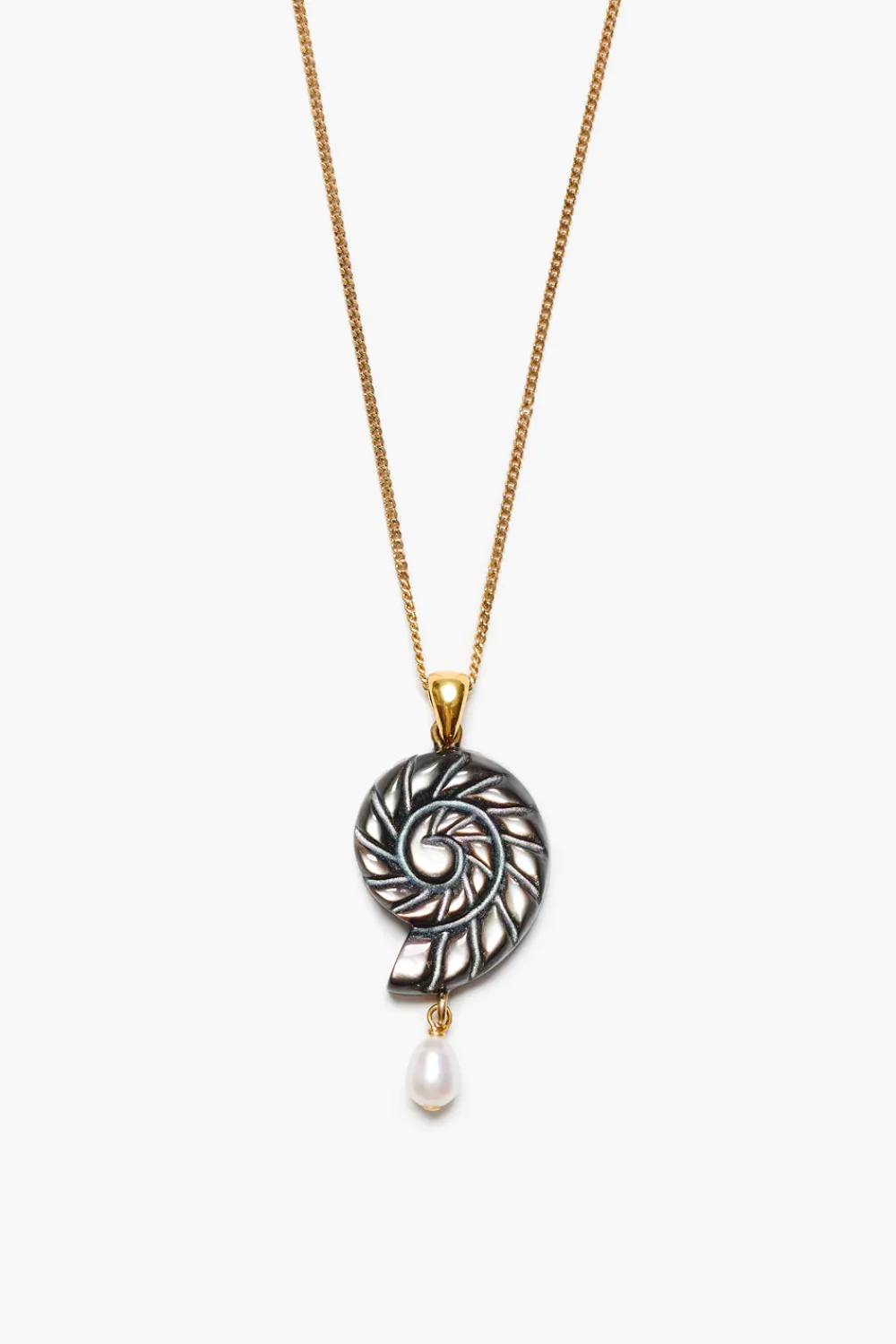 Chan Luu Nautilus Pendant Necklace Black MOP