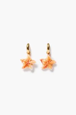 Chan Luu Starfish Hoop Earrings Orange